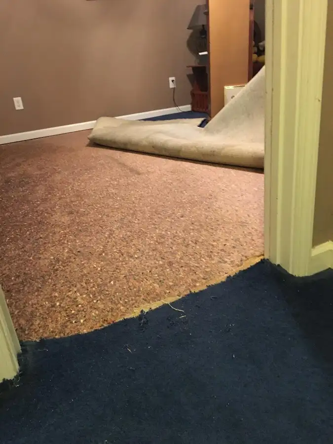 Carpet pad removal revealing water damage during Water Mitigation Services in De Witt