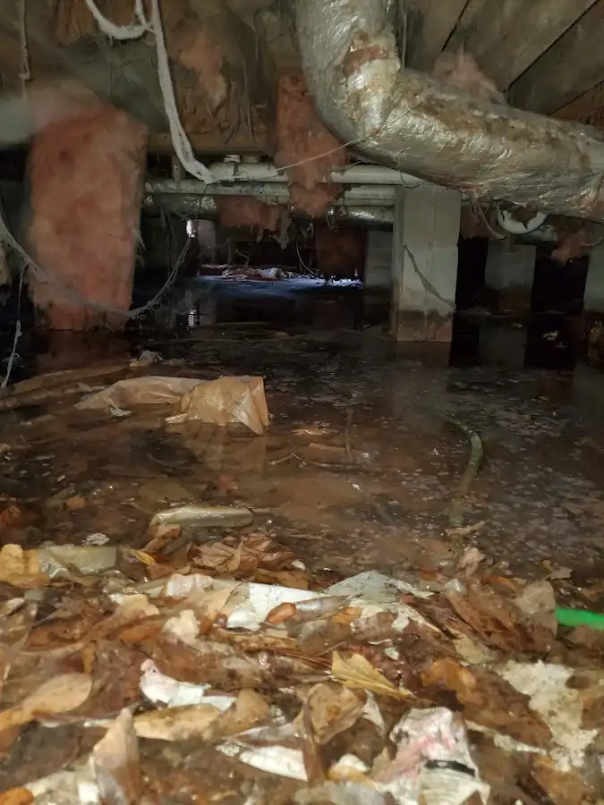 Crawl space flood assessment for Commercial Water Damage Restoration in De Witt